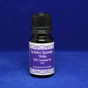 White Lavender Essential Oil 5ml